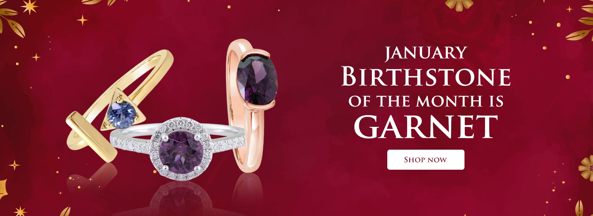 Birthstone January jewelry